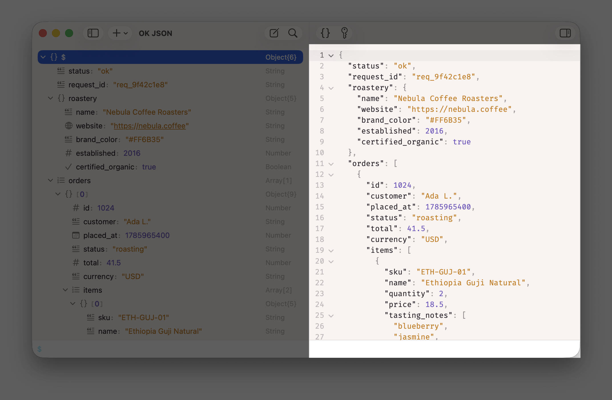Screenshot of Editor of OK JSON