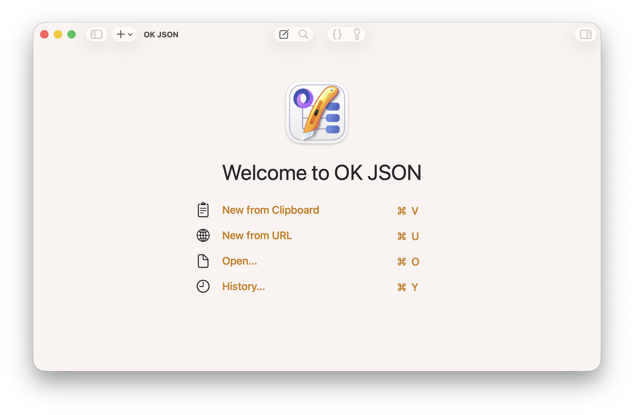 Screenshot of Launch Screen of OK JSON